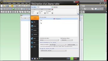 Rupture dans un champ windev (par programmation)