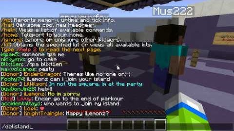 server review SKYBLOCK.NET