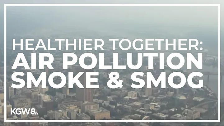 How poor air quality can negatively impact our health outcomes
