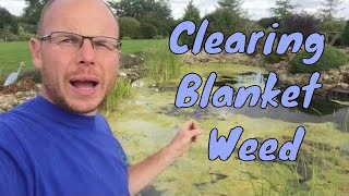 What to do with a Blanket Weed covered pond? Info about Bio Lake