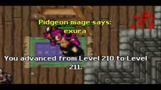 Life of Pidgeon mage on Danera