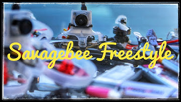 Savagebee Freestyle