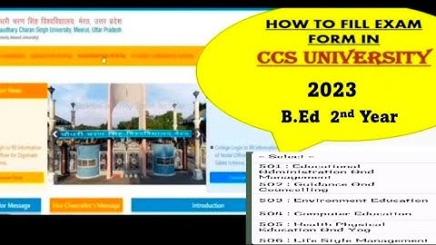 CCSU - B.Ed 2nd year Exam Form.        #ccsu #examform2023 #B.Ed