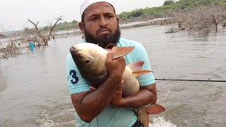 Unbelievable Fishing| 7:500Kg And 7:185Kg Big Rohu Fishes Catching In Single Hook Gal|Rohu Fishing