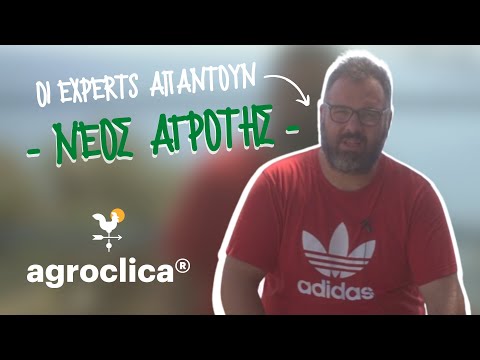 Βίντεο: Πώς να γίνετε ιδιοφυής βιβλιοφάγος: 14 βήματα (με εικόνες)