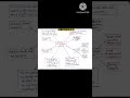 constituent assembly mind map -2 #mppsc #upsc #reels #viral #shorts