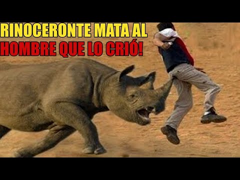 Top 5 Animales Rescatados Que Mataron A Los Hombres Que Los Criaron