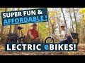 AFFORDABLE (and FUN!!!) Electric Bikes! (Lectric eBikes) (Full Time RV Life!)
