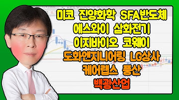 미코, 진양화학, SFA반도체, 에스와이, 삼화전기, 이지바이오, 코웨이, 도화엔지니어링, LG상사, 케어랩스, 풍산_비전2021 주식 파트너 (20210312)