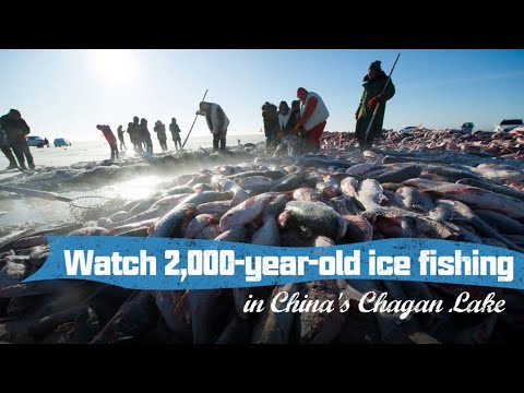live:-watch-2,000-year-old-ice-fishing-in-china's-chagan-lake丰收的喜悦-体验原始又有趣的查干湖冬捕