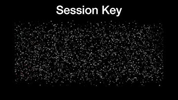 A-Level Computer Science CIE (SSL and TLS)