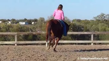 Strutters Rocknroll - Rocky - ***For info, price, etc., go to our website*** Valley View Ranch