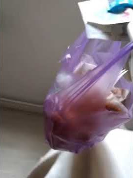 AKSI NEKAT TKW #shorts