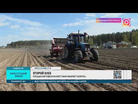 ВТОРОЙ ХЛЕБ