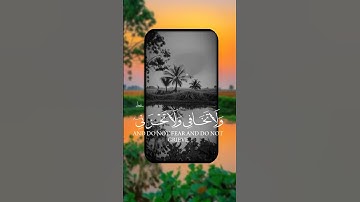 قرآن الكريم سورة القصص قارئ الشيخ الدوسري #صباح_الخير #تيك_توك