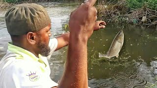 golden machli Ka Shikar||gold machli pakadna Ka chara|| unique fishing||Gulfam fish||MANJUR FISHING|