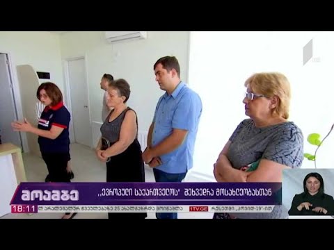 „ევროპული საქართველოს“ საარჩევნო კამპანია