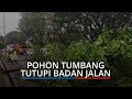 Angin Kencang di Wilayah Aceh Diprediksi Berlangsung Hingga September, Waspada Kebakaran Hutan