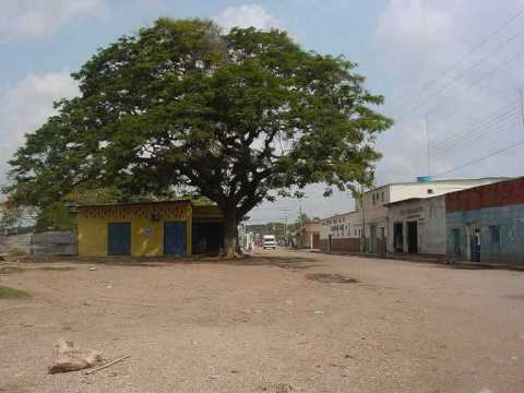 VENEZUELA - LOS LLANOS.wmv