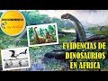 ¿Se esconden dinosaurios vivos en Africa?