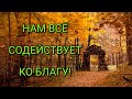 🌺🌺🌺Нам всё содействует ко благу! 🌺🌺🌺