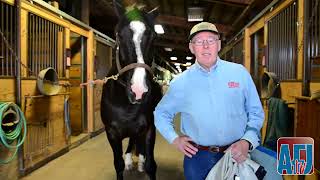 Fly Control Fly Masks, Sheets and Leggings