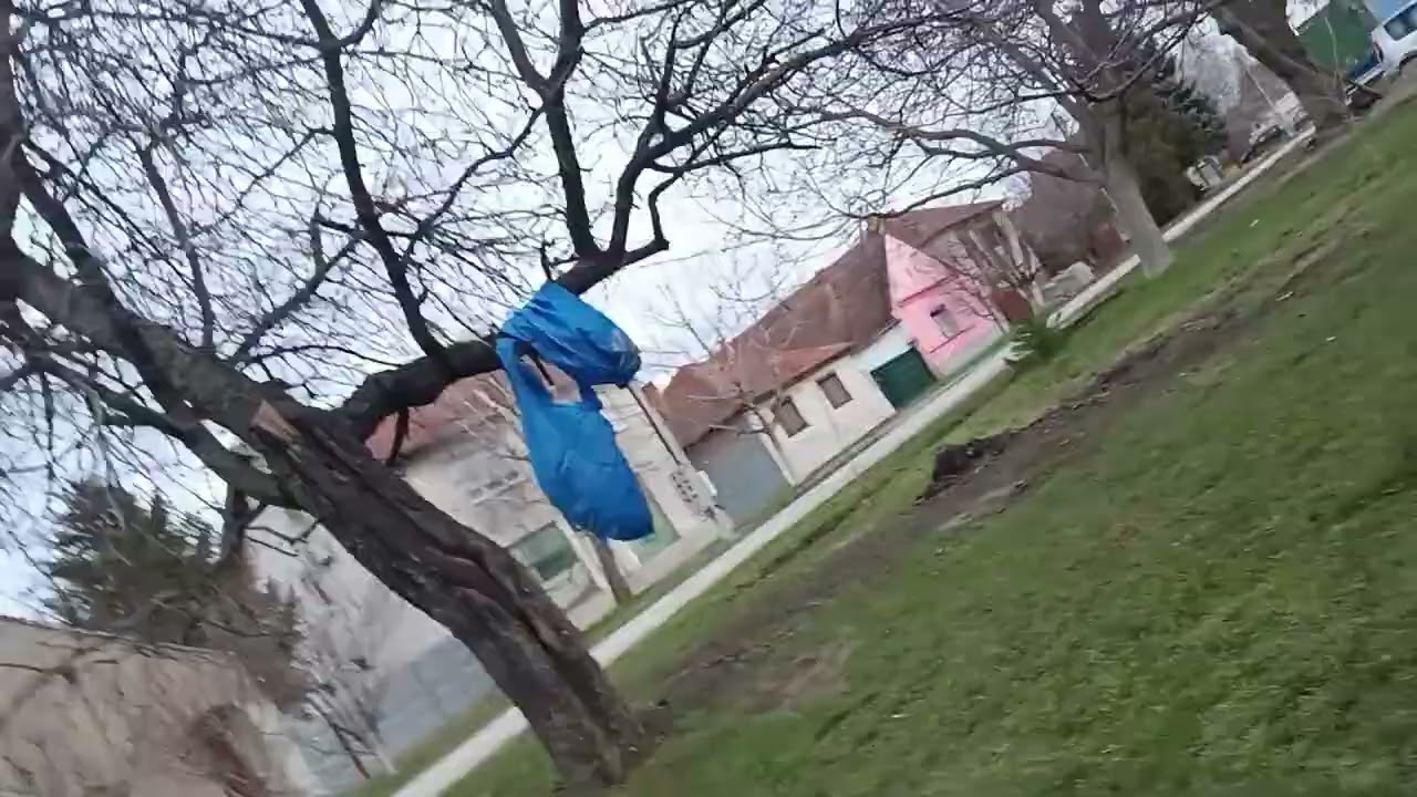 walking vid 21/2/2026