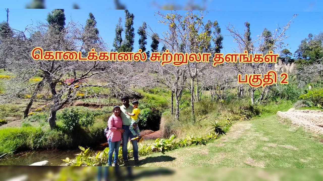 Top Kodaikanal tourist places part 2 / Rose garden/ kurinchi aandavar