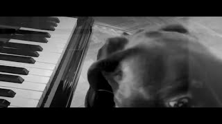 t dot est - AM 0513 (Official Video)