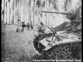 A Brown Shade of Hell: The Battle of Buna-Gona November 1942 - January 1943