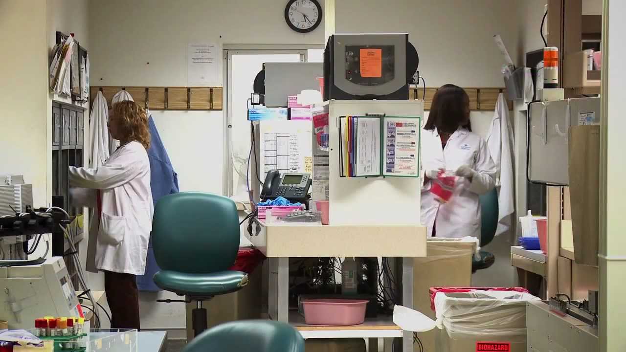 Baycare Laboratories Baycare Health System YouTube