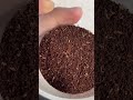 每天找一個香味直到鬱期結束 D2 每天找一個香味直到鬱期結束 D2