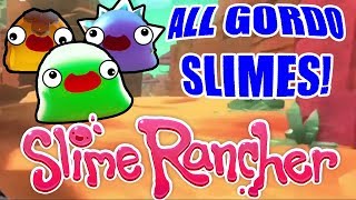 This is a video where i show you can find 11 of the gordo slimes in
slime rancher! ✔️ like and subscribe if enjoyed video!!