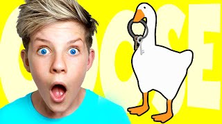 NOOB vs PRO vs HACKER in UNTITLED GOOSE GAME!!