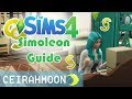 Sims 4: Fast Money Guide! (Stay-At-Home Writer + Royalties)