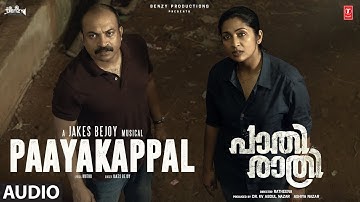Paayakappal Audio | Paathirathri | Soubin Shahir,Navya Nair | Jakes Bejoy | Ratheena