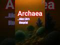 Archaea: Alien Life's Blueprint