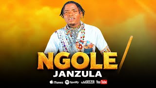 JANZULA MAYIKU SAYI HARUSI YA NGOLE PROD BY MBASHA STUDIO