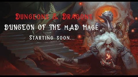 Dungeons and Dragons: Dungeon of the Mad Mage