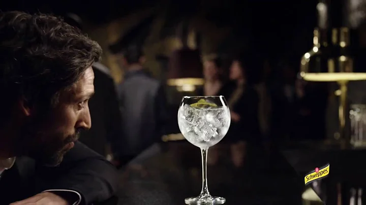 Schweppes Indian Tonic 15s NL