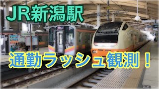 JR新潟駅 通勤ラッシュ観測！