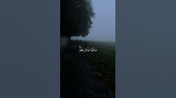 سوره الفجر القارئ عبد الله احمد الشعبان #قرآن #اكسبلور #المصحف #لايك #الرحمن