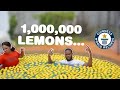 FILLING OUR SWIMMING POOL WITH 1,000,000 LEMONS!!