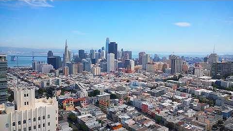 Where Do Human Insights Lead?