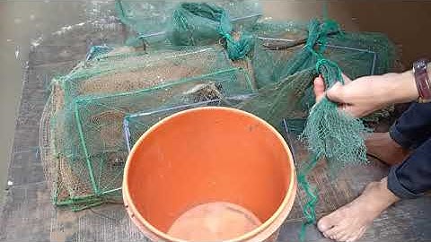 Đánh bắt cá trên sông bằng 12 Cửa ngục nhe các bạn ...