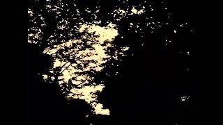 【UTAU】 celluloid 【NYXXIE FT.APOLLO/MORNING】