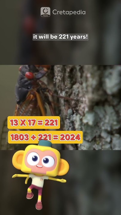 once-in-200-years-cicada-geddon-2024-is-crazy-why-they-are-annoyingly