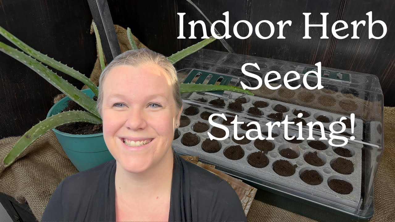 Growing Flavor at Home 🌱 Starting Herb Seeds Indoors with Park Seed Bio Dome YouTube