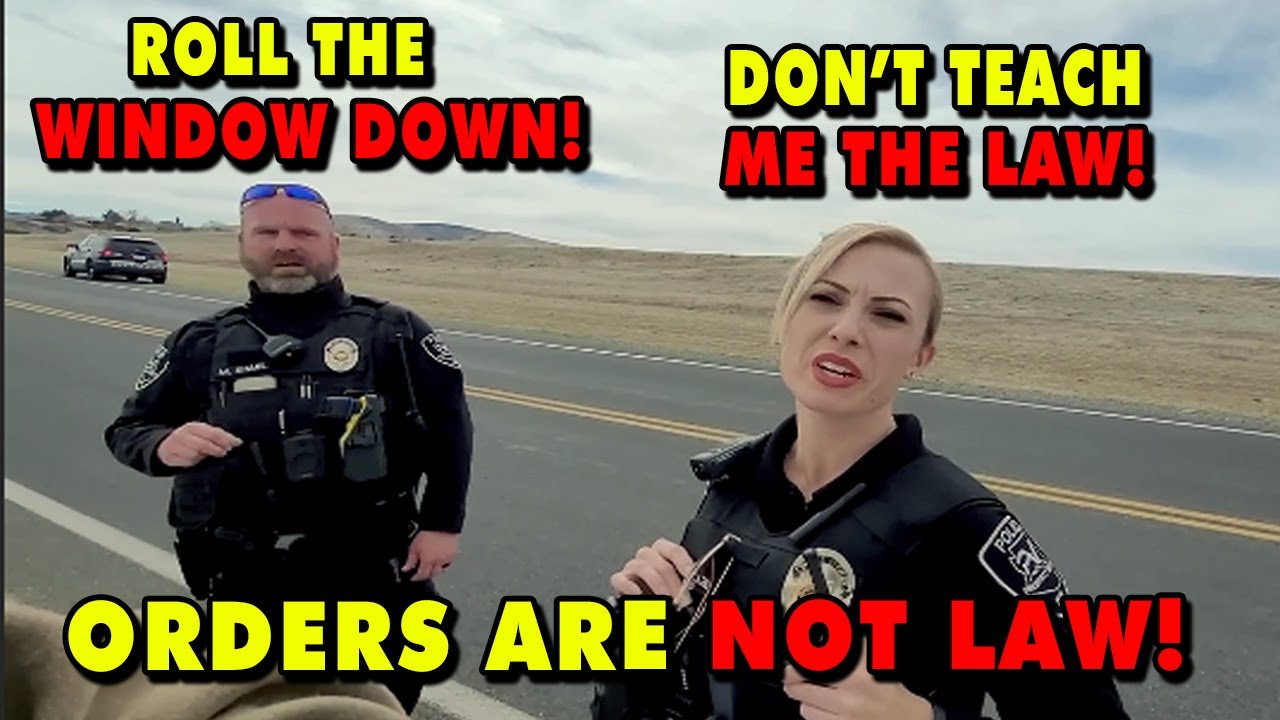 Банда «Синей линии» разоблачена — Власть рушится, когда гражданин знает закон