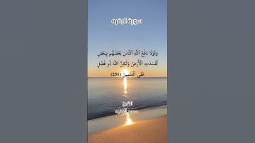 (وَلَمَّا بَرَزُوا لِجَالُوتَ وَجُنُودِهِ)سورة البقره للشيخ محمد الفقيه حفظه الله ورعاه